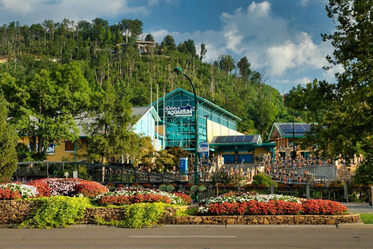 Gnome Alone Vila Sevierville Exterior foto